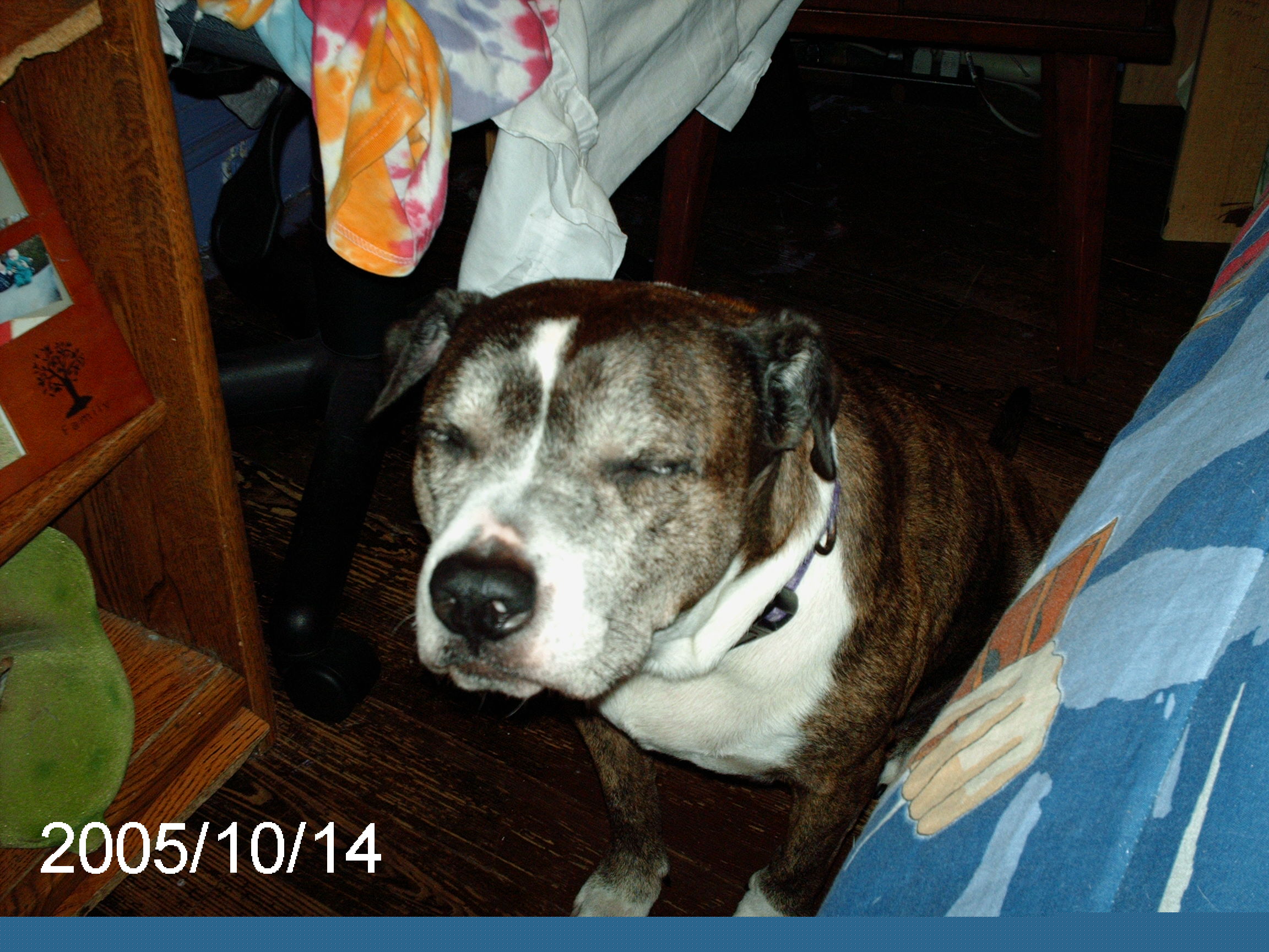 pict0001.jpg